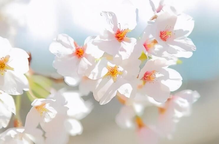 大实话哲理语录文案