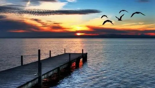 抒情景物句子文案摘抄赏析