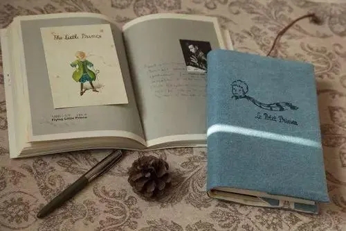 唯美积极正能量的句子文案