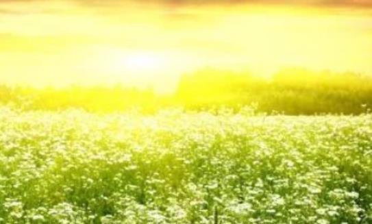 保持真诚的名言