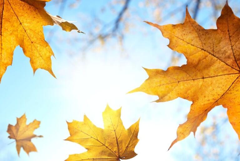 高品位励志的句子文案