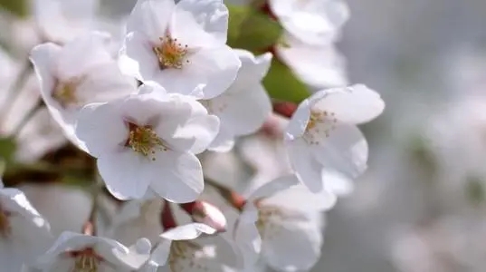 午安问候情话文案