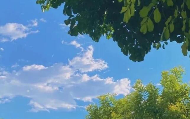 适用于早晨说的情话文案