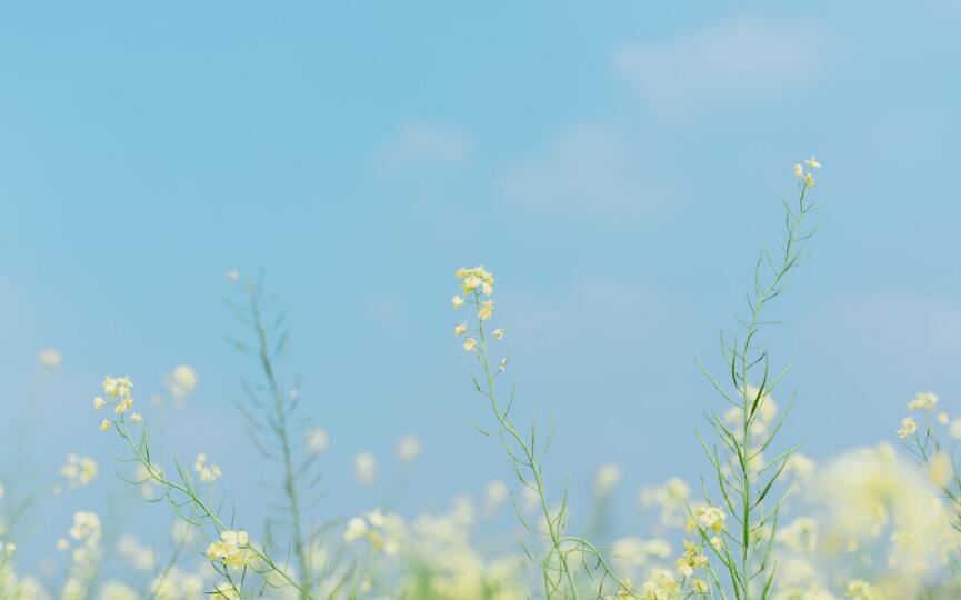 简短励志句子文案10字以内