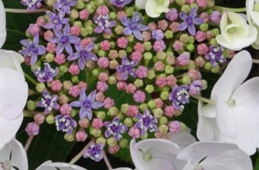 让人感觉伤感的早安说说文案