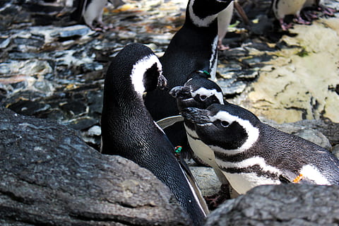 小情话文案简短