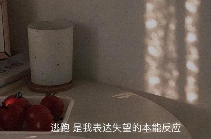 有关执念的虐心句子文案