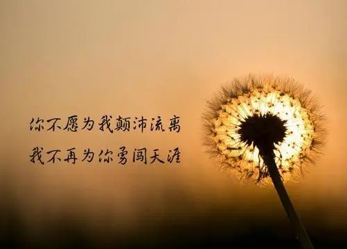 朋友不珍惜谁伤心句子文案