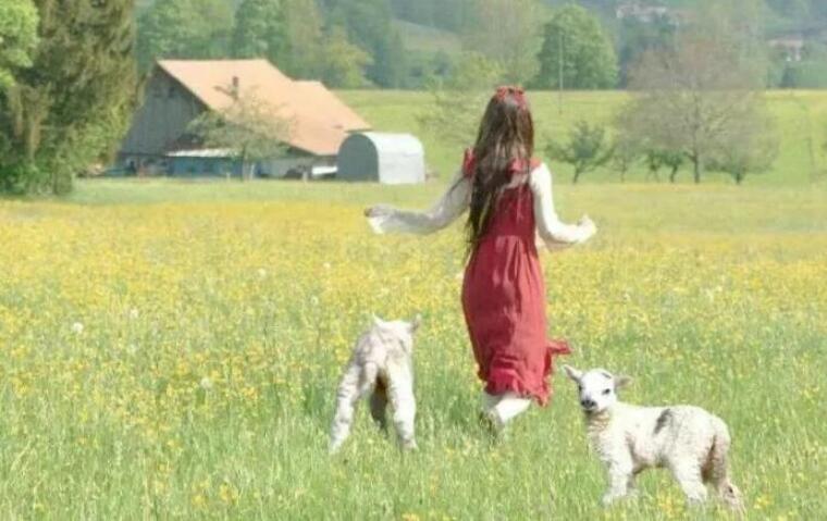 关于初见的文案