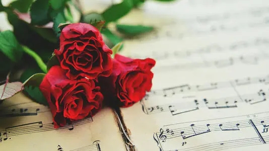 祝愿你开心快乐的简短句子文案