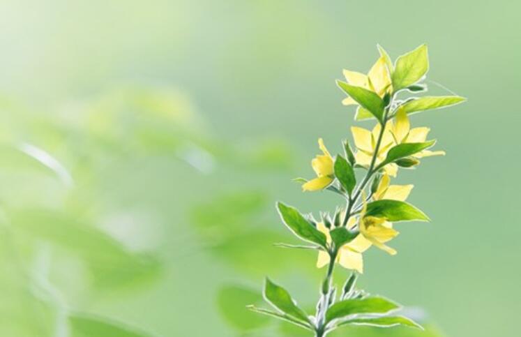 朋友之间健康问候语