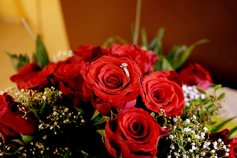 善待妻子的唯美句子文案