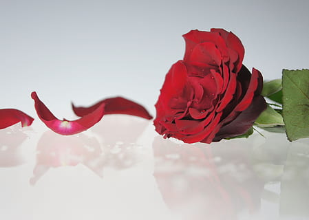 短又深情的句子文案