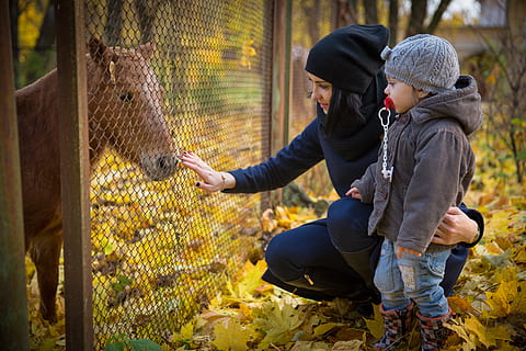 我的温柔只对你句子文案