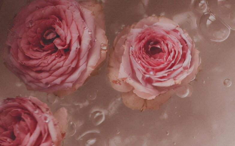 形容身心疲惫的句子文案