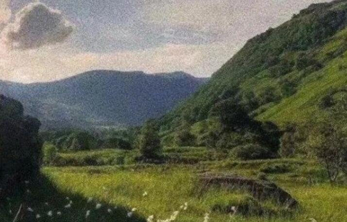 2021年第100天抖音文案