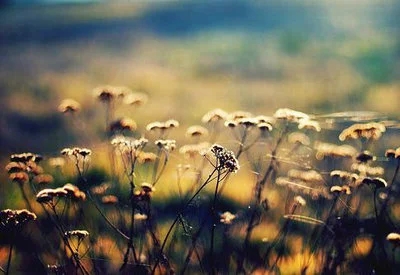 看透得与失的句子文案