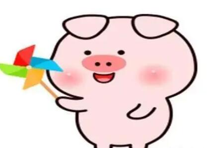 下午好幽默的句子文案