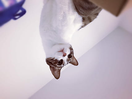 最感人分手了祝福的话