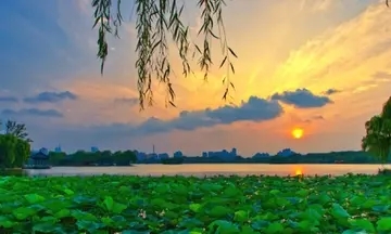 描写夏天的优美段落