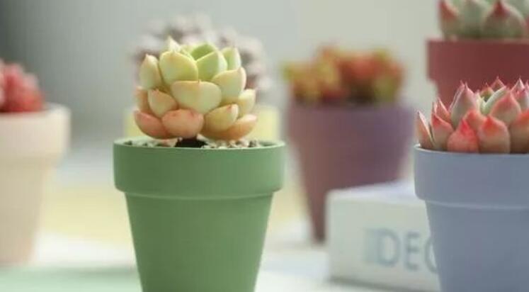 成人感言简短语句文案