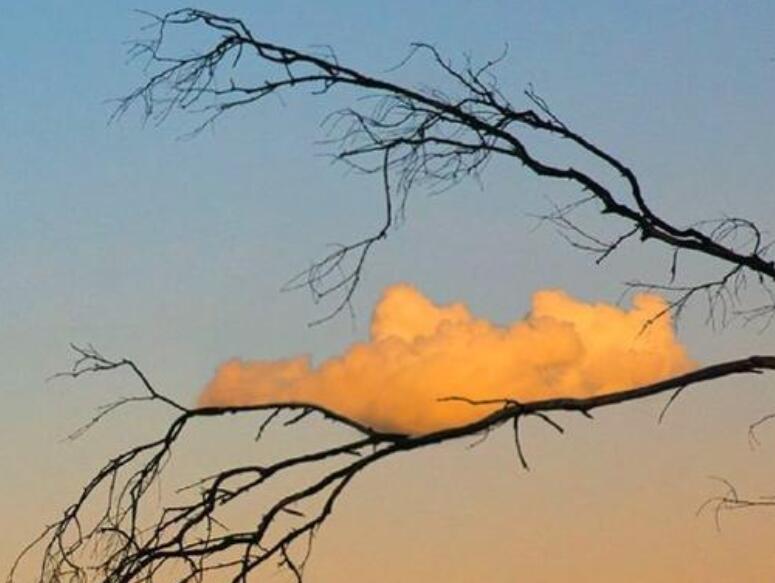 写给孩子的心灵鸡汤