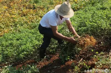 干农活感悟的一句话