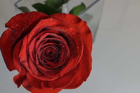 早晨对女朋友贴心问候