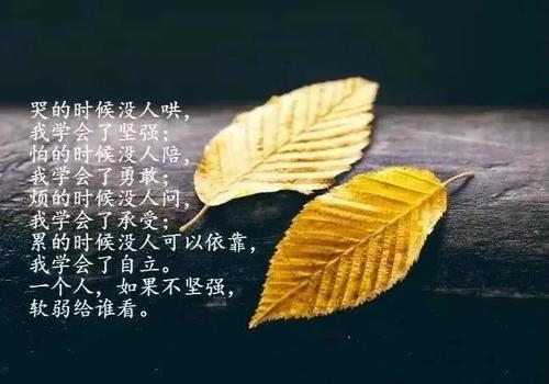 关于人生哲理的一段话