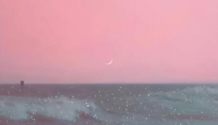 表达对政府领导感谢的话