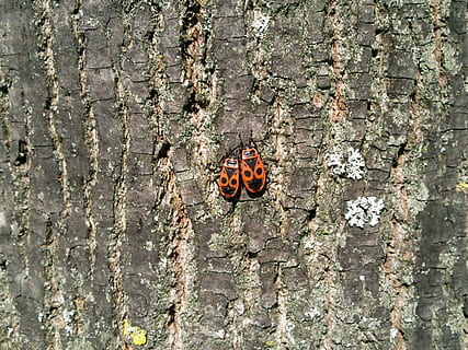 表示老婆很重要的句子文案