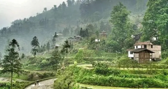 描写乡村美景的短句子文案