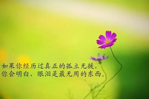 感慨人生起落的句子文案