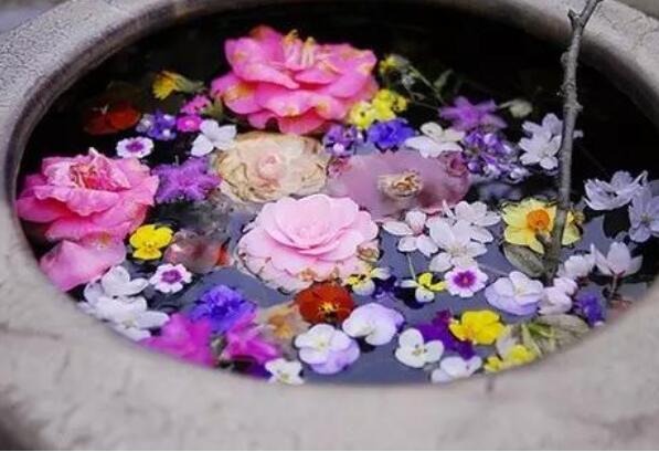 早上道歉的句子文案