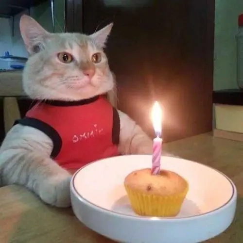 小女孩过生日的发朋友圈的句子文案