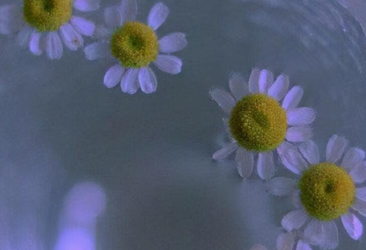 爱情句子文案表达伤心