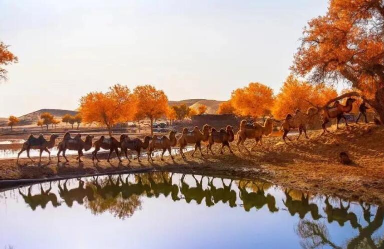 早上给长辈祝福问候语句文案