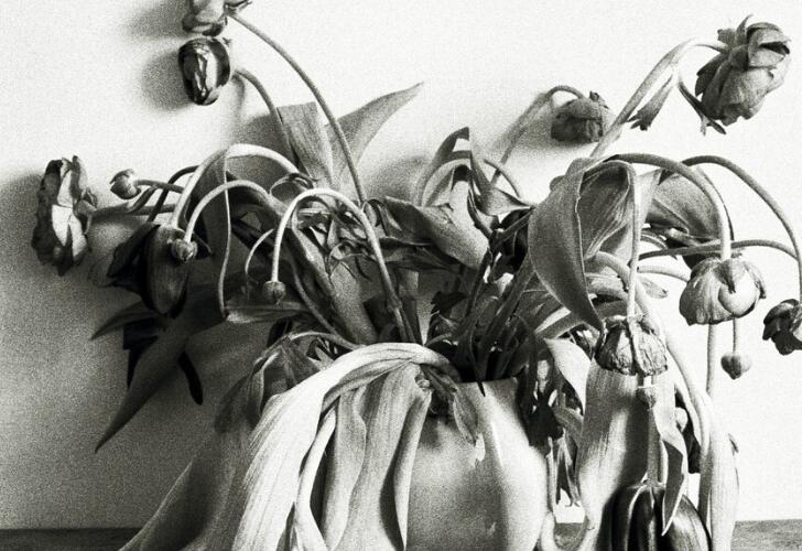 家父去世朋友圈告知