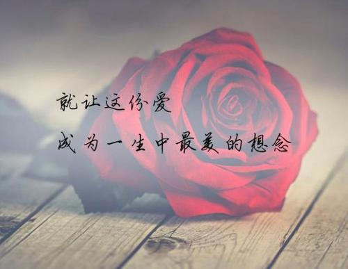 不联系不代表不想念的句子文案