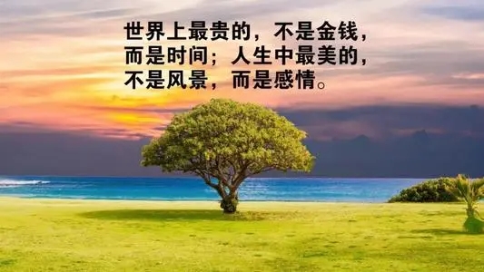 优美的句子文案摘抄及赏析