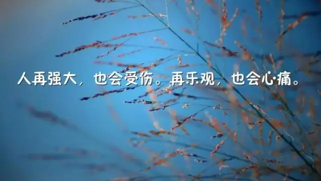 励志语录文案经典长句