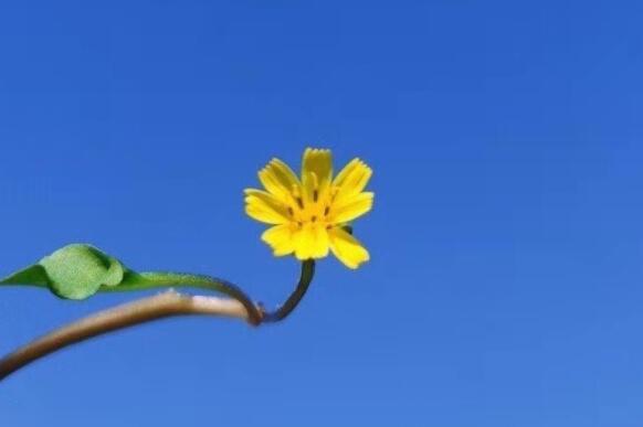 关于三月的唯美句子文案