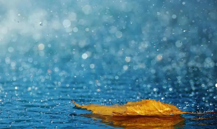 描写下雨的优美句子文案