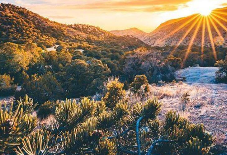 发朋友圈的佛教短语