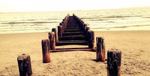 2024年最幸福的一句话