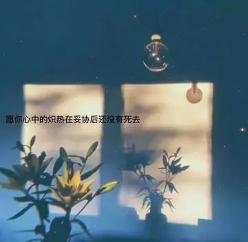心寒到极点的句子文案