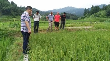 感谢村扶贫干部的话