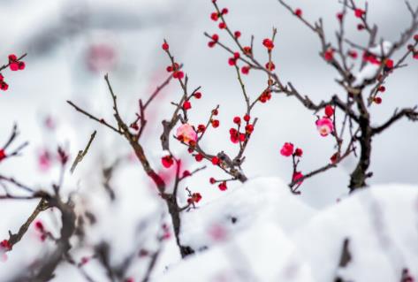 冬天天气语录文案短句