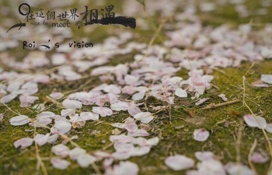 课外笔记摘抄好词好句文案大全