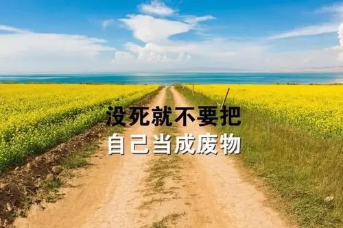 关于努力尝试的句子文案